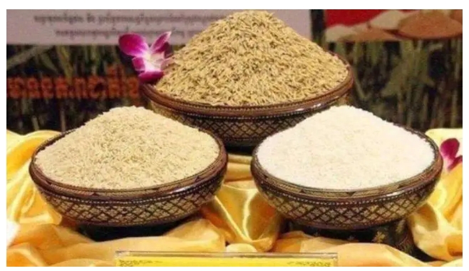 柬埔寨大米出口1月达3260万